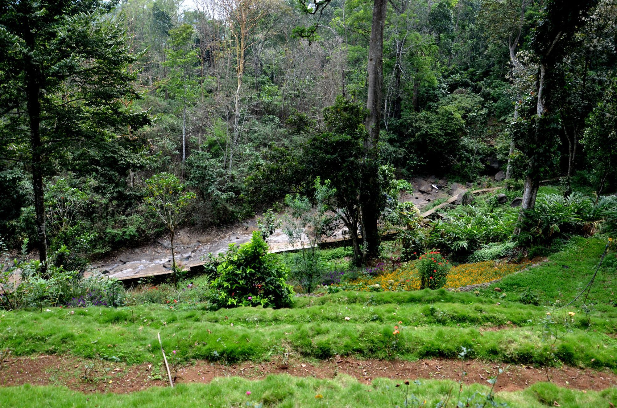 Hotel Bamboo Dale à Munnar Extérieur photo